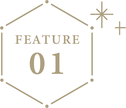 特徴1番のアイコン