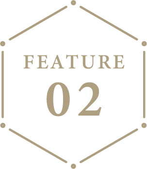 特徴2番のアイコン