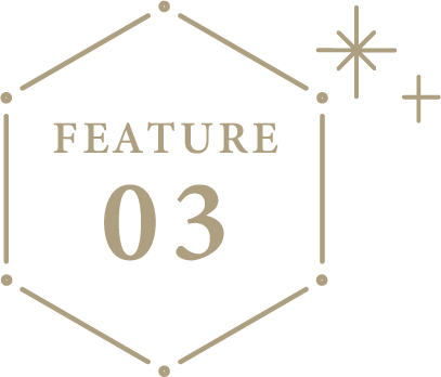 特徴3番のアイコン